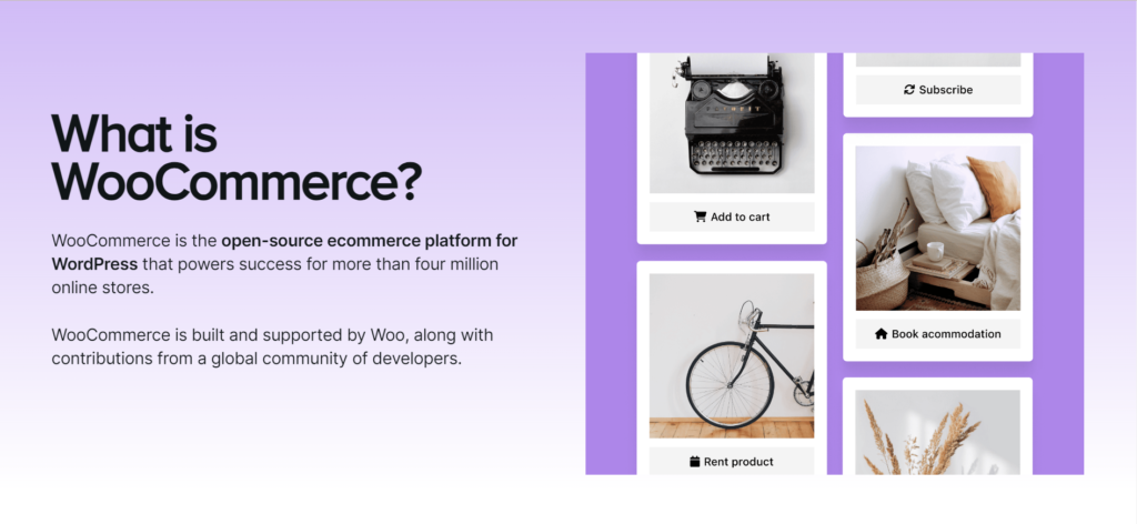 Woocommerce SEO