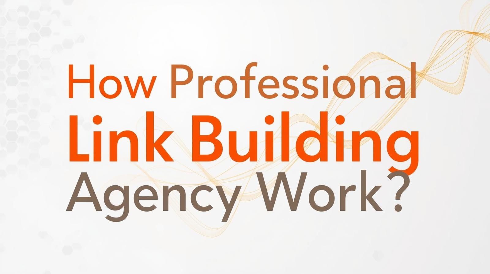 How Professional Link Building Agency Work