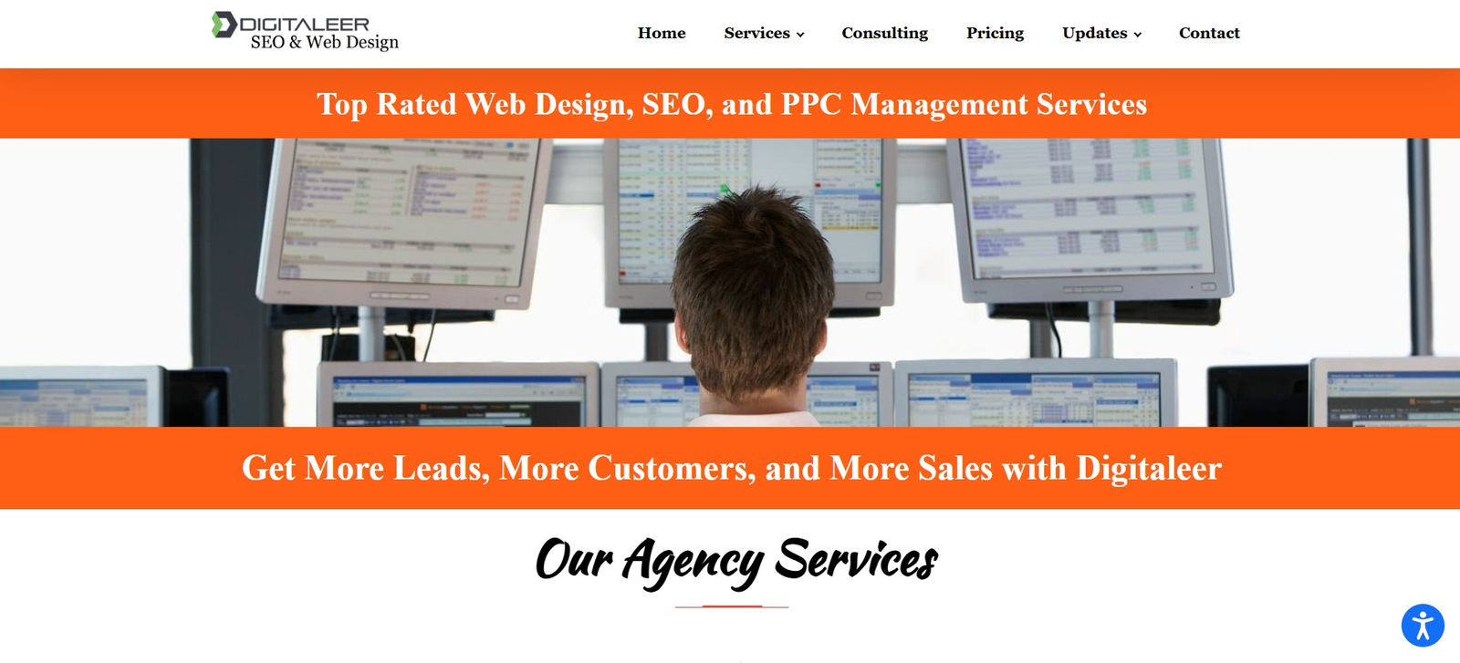 Digitaleer SEO & Web Design